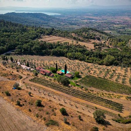 Tenuta Angelici Winery Agriturismo Henni With Pool Sauna And Jacuzzi Cortona Villa Exterior photo