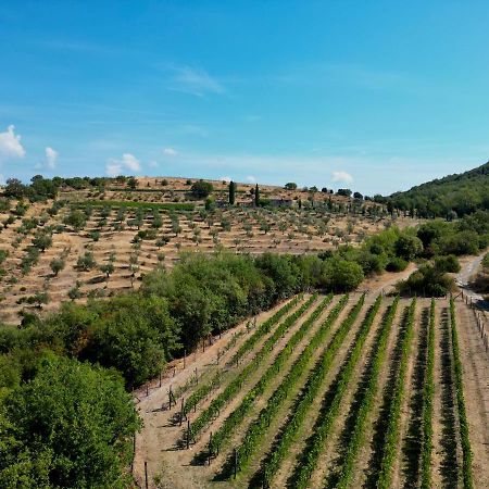 Tenuta Angelici Winery Agriturismo Henni With Pool Sauna And Jacuzzi Cortona Villa Exterior photo