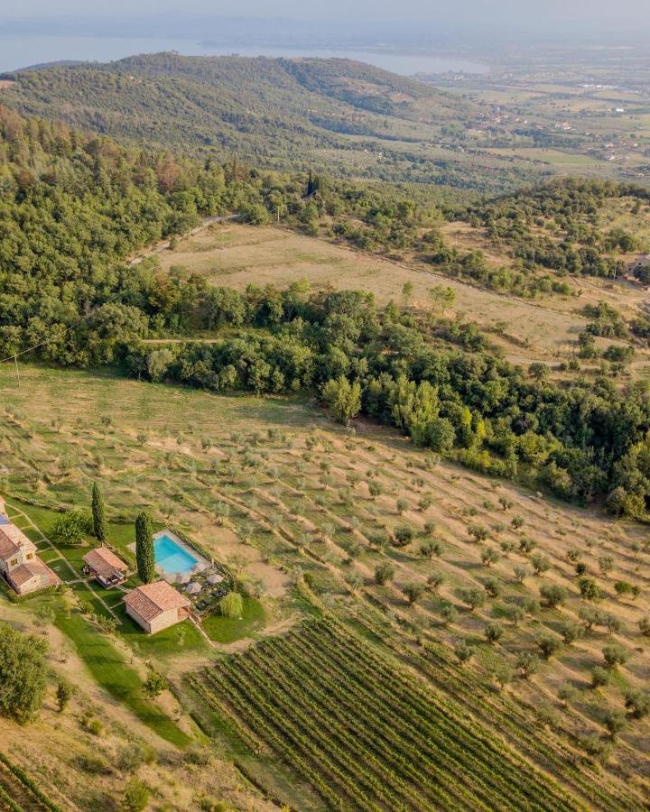 Tenuta Angelici Winery Agriturismo Henni With Pool Sauna And Jacuzzi Cortona Villa Exterior photo