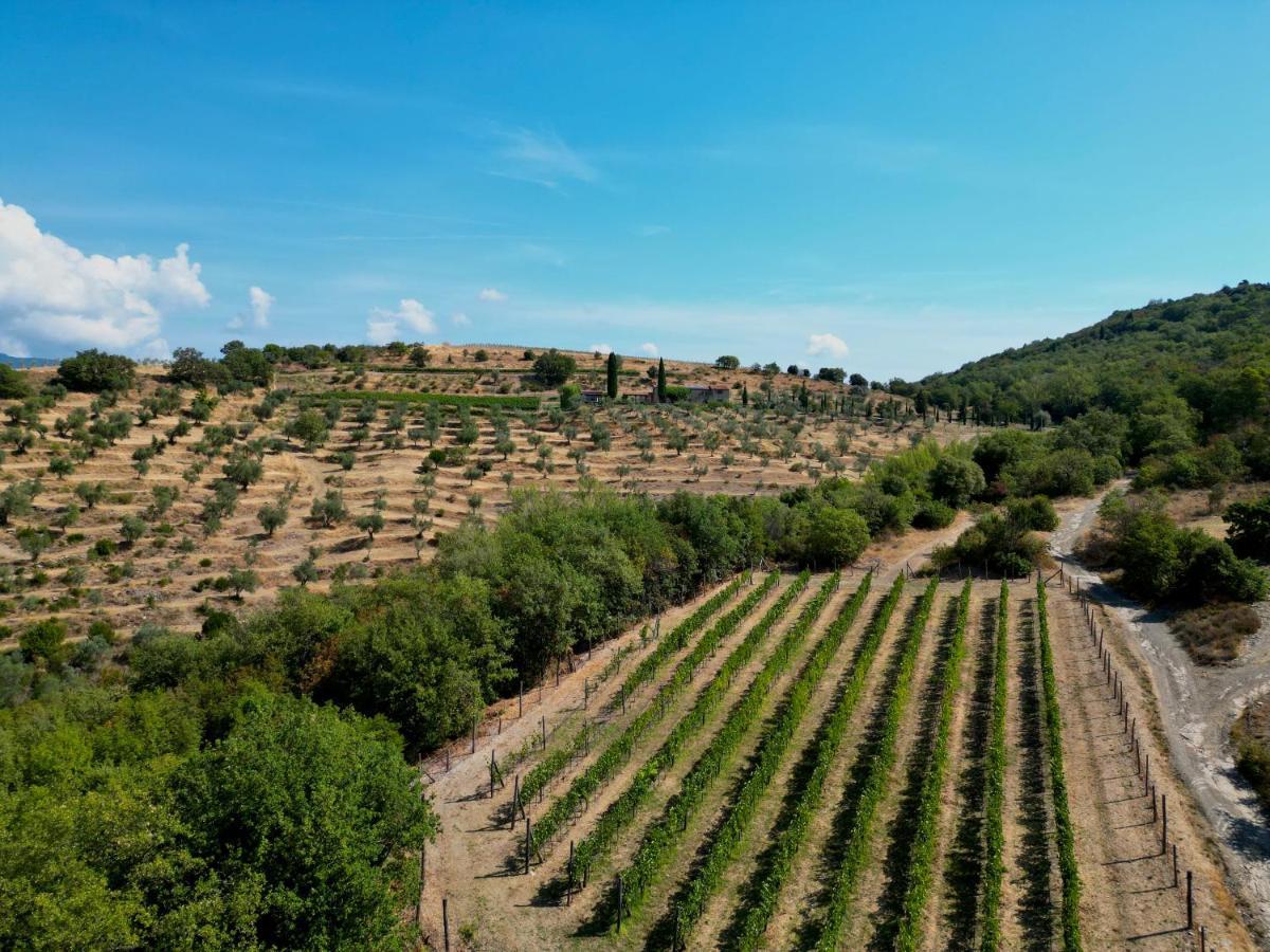 Tenuta Angelici Winery Agriturismo Henni With Pool Sauna And Jacuzzi Cortona Villa Exterior photo